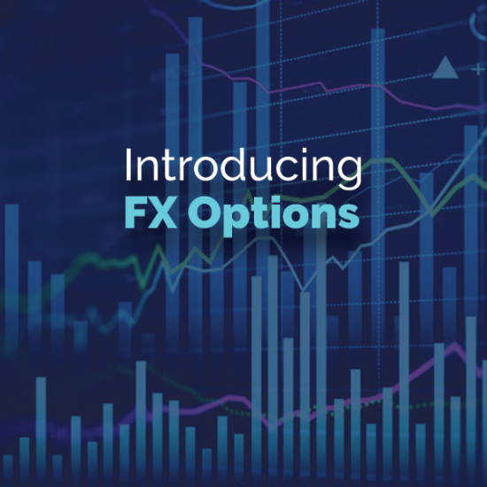 FX Options from Ĳʿ